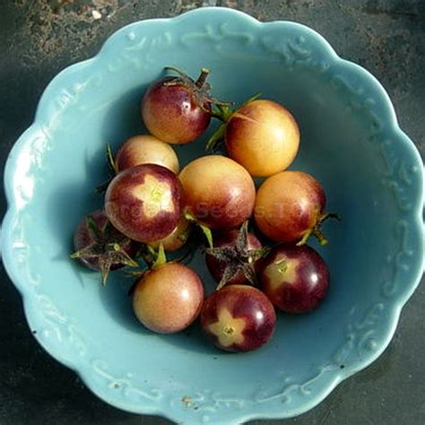 Amethyst Cream Cherry
