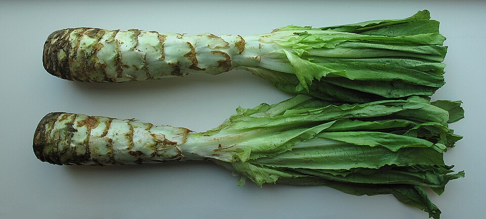 Aspergesla Celtuce