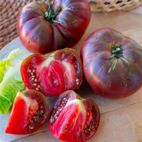 Black Krim