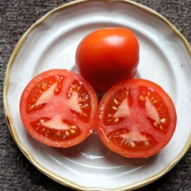 Bogata Hata